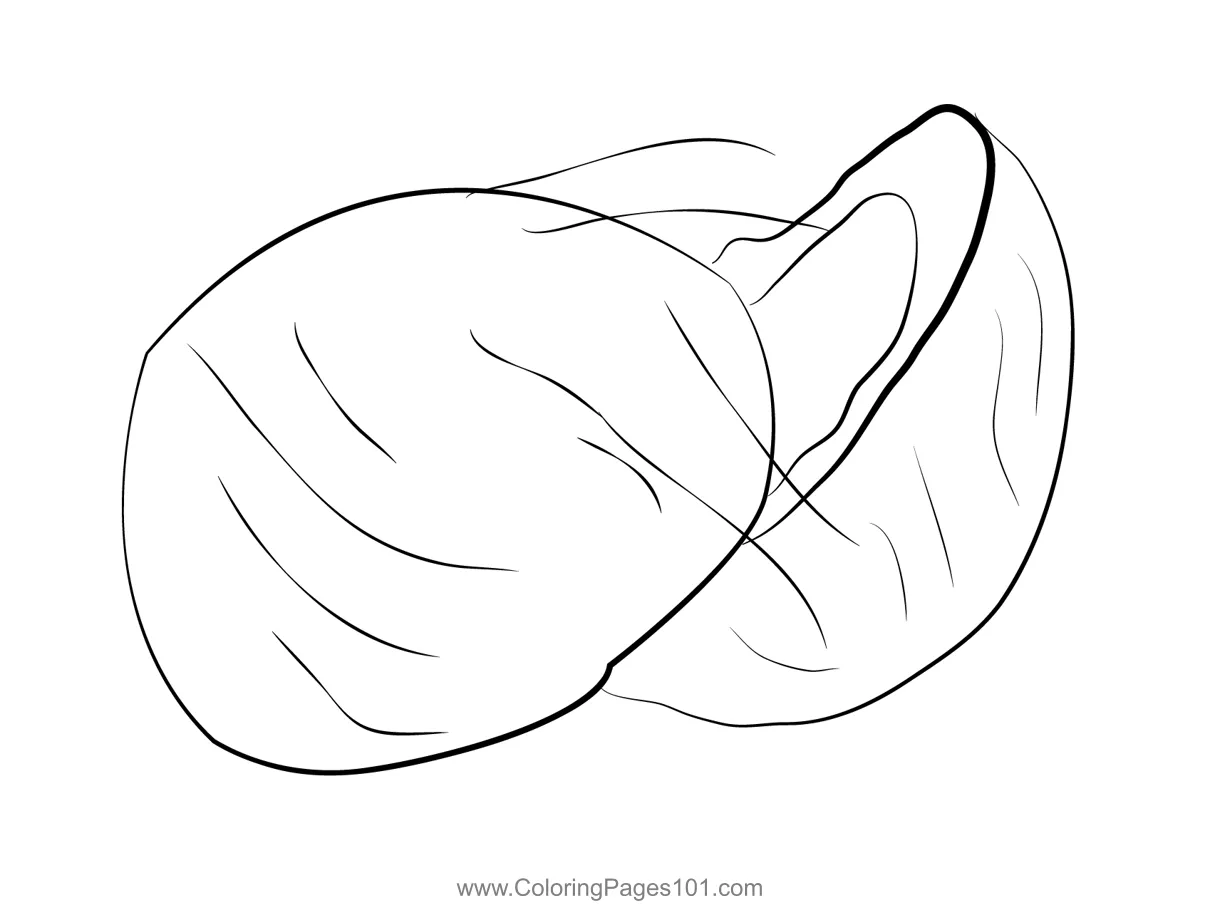 Fresh Coconut Coloring Page for Kids - Free Coconut Printable Coloring