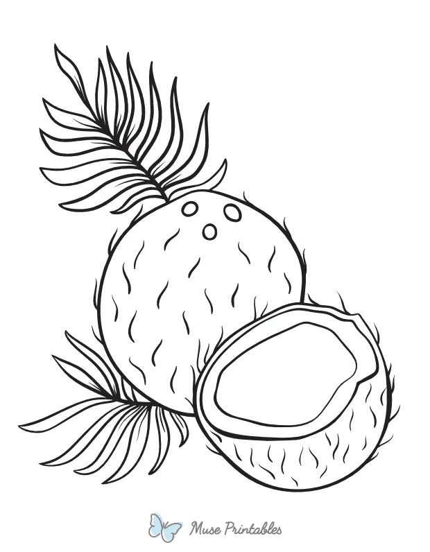 Printable Coconut Coloring Page