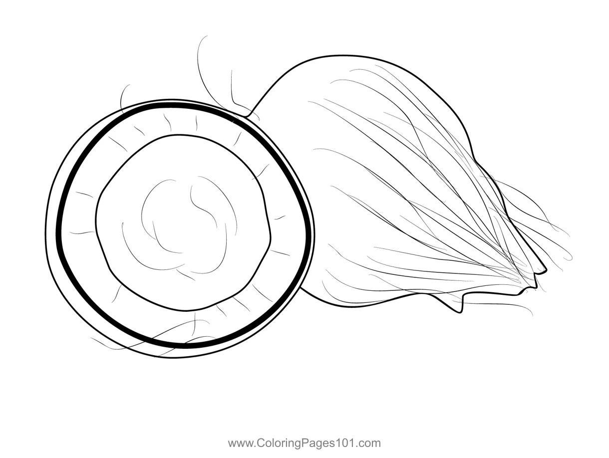 Coconut 2 Coloring Page for Kids - Free Coconut Printable Coloring