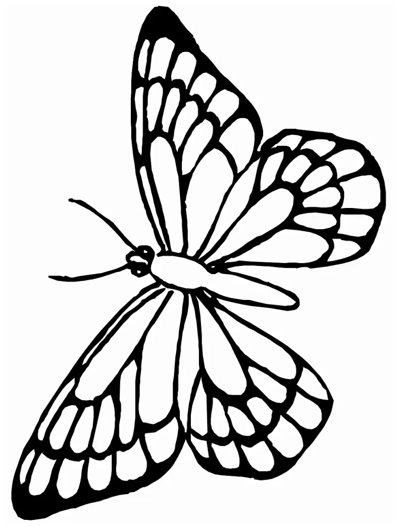 At getcolorings free printable colorings printable coloring page