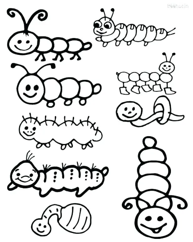 Cocoon coloring page at getcolorings free printable colorings