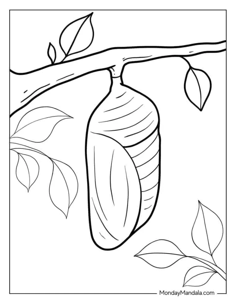 Caterpillar cocoon coloring page coloring pages