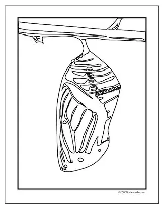 Cocoon coloring page orlandoecrice