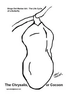 Cocoon coloring page at getcolorings free printable colorings