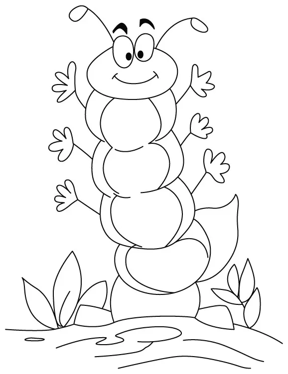 Butterfly cocoon coloring pages at getcolorings free printable
