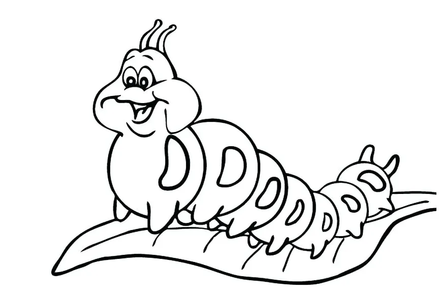 Cocoon coloring page at getcolorings free printable colorings