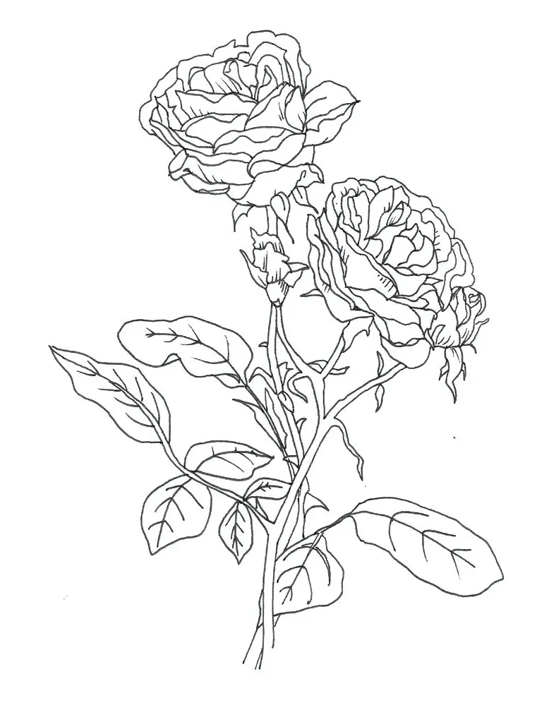 At getcolorings free printable