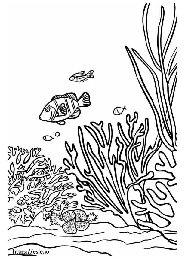 Coral reef coloring page