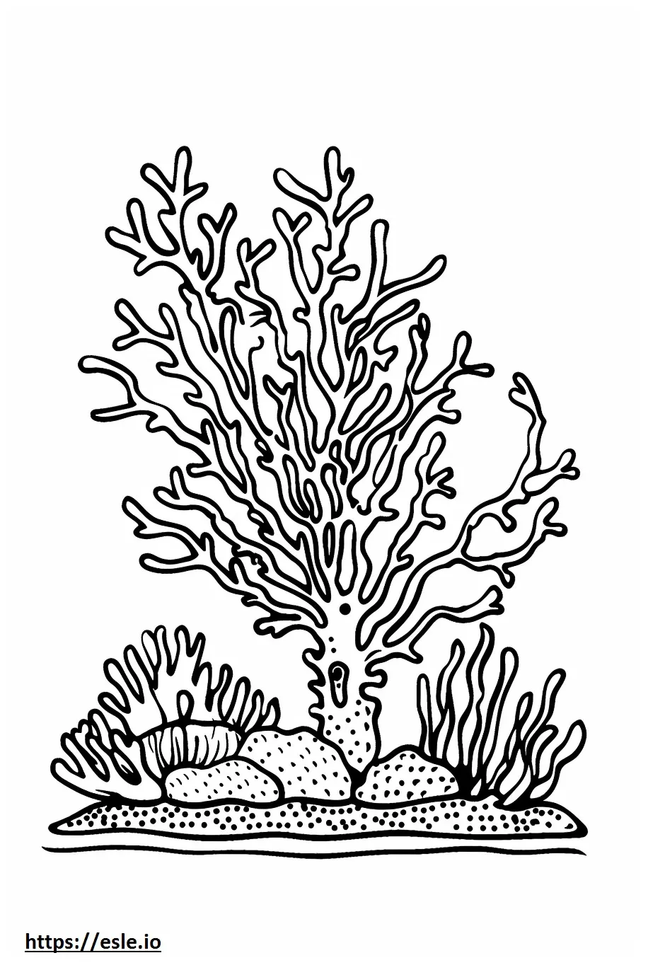 Coral reef coloring sheet