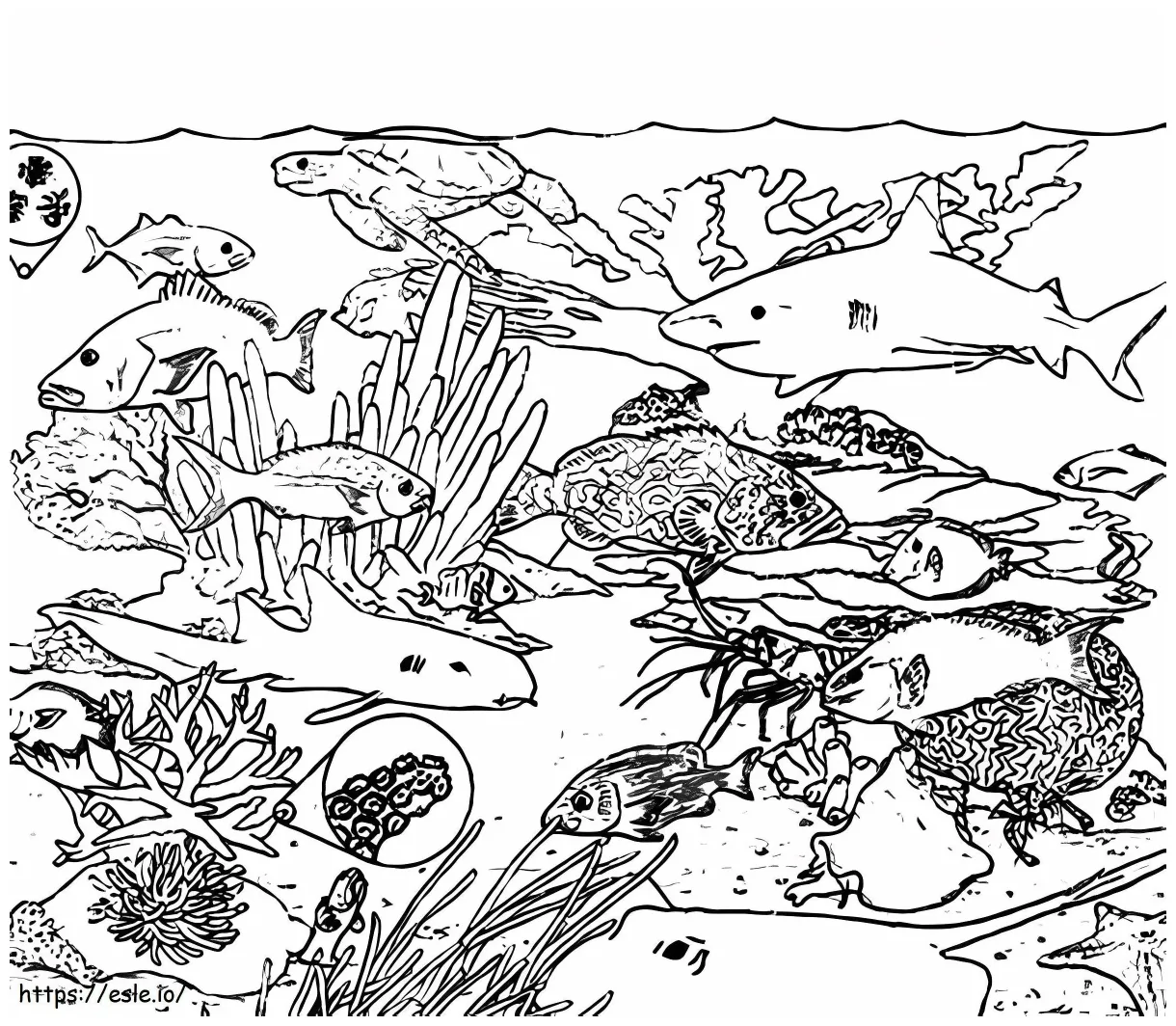 Coral reef ecosystem coloring page