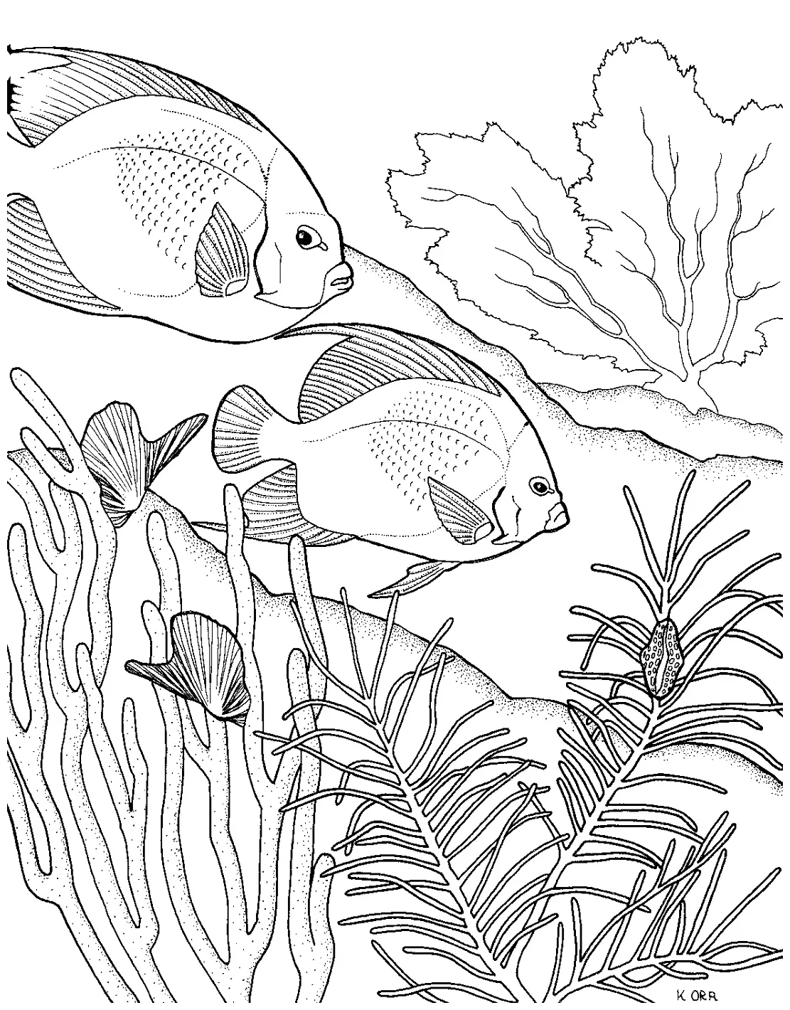 Coral reef coloring page sea ecosystem learning printable coral reef
