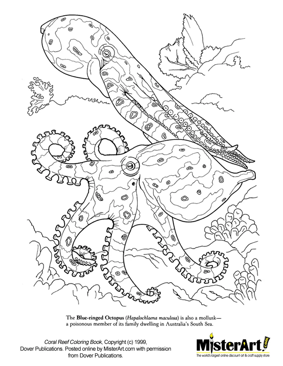 Coral reef coloring pages to download and print for free printable coloring page