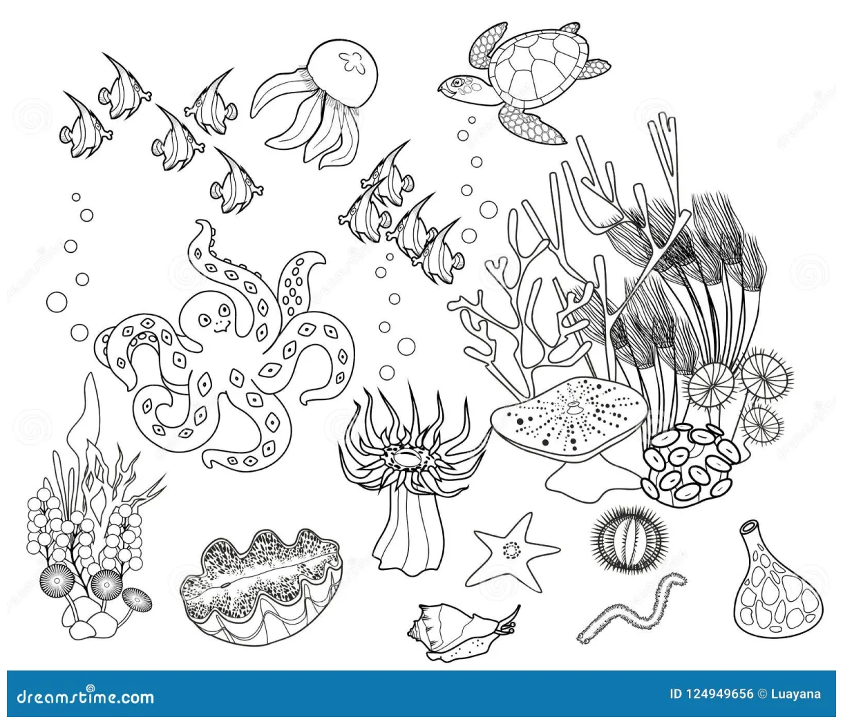 Coloring page. ecosystem of coral reef with different marine