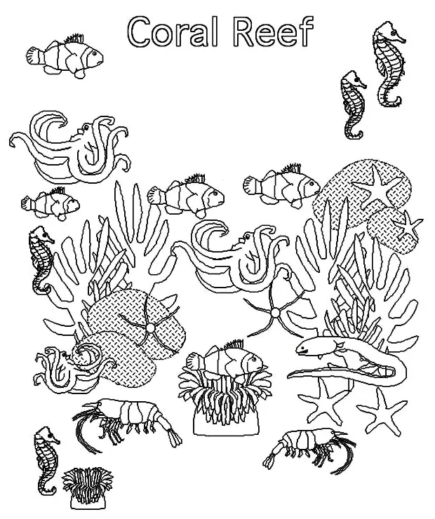 Fish in s kids play color