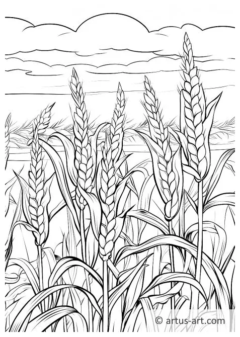 Corn field coloring page