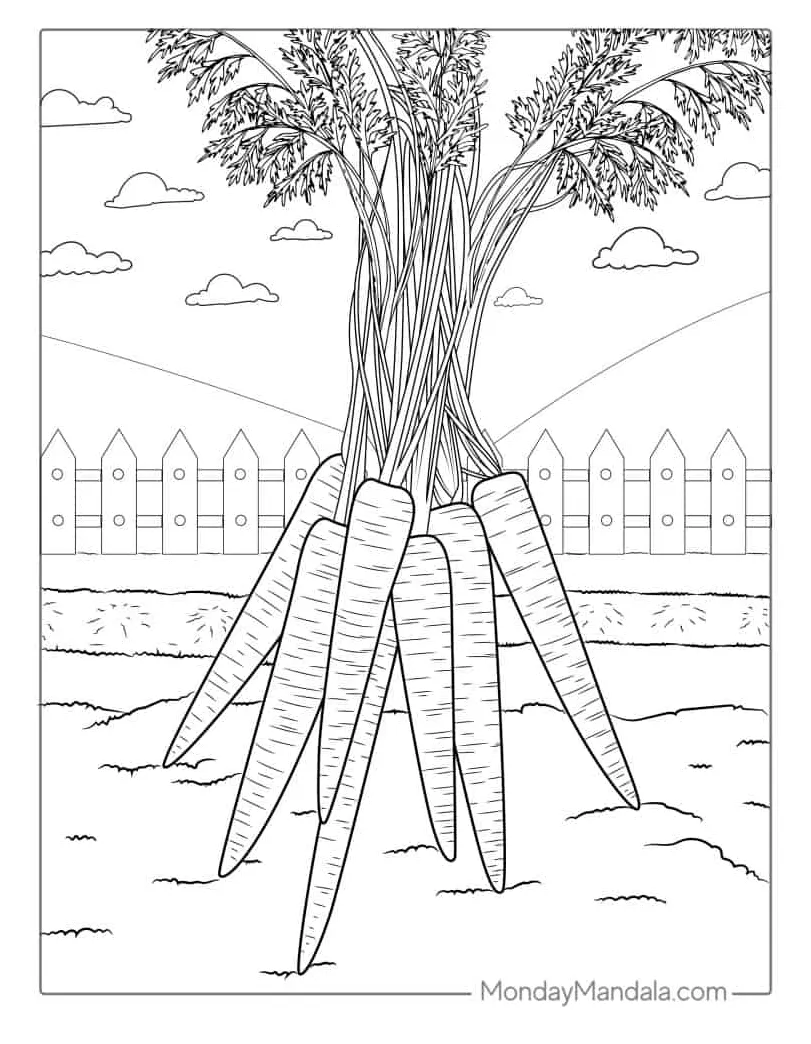 Corn Field Coloring Page