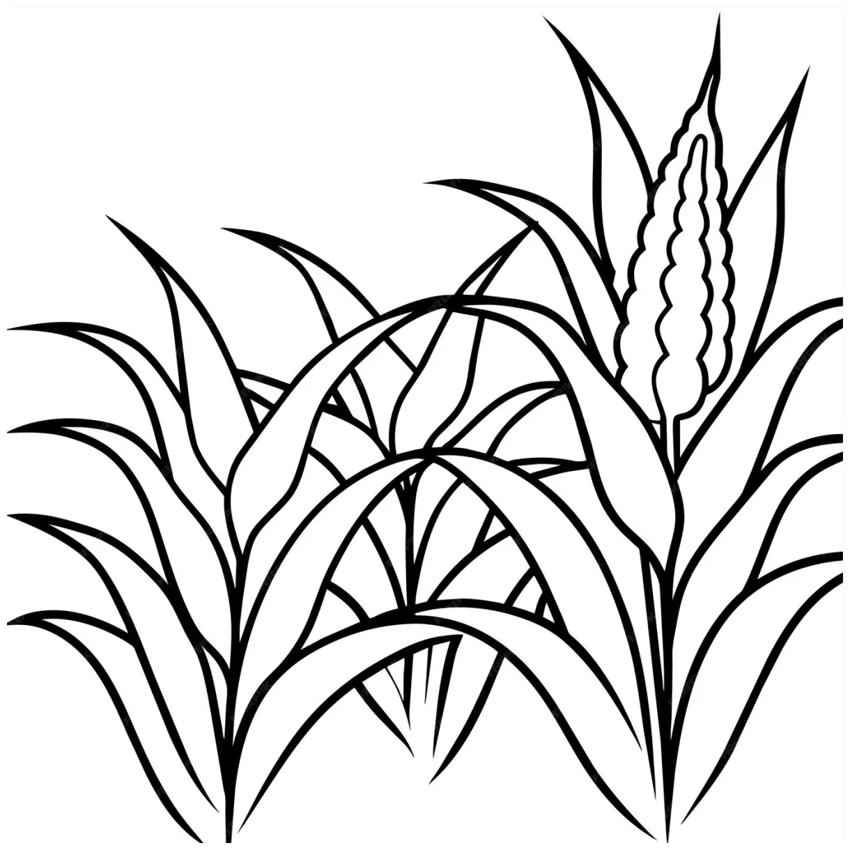 Premium vector coloring page design corn field or corn tree