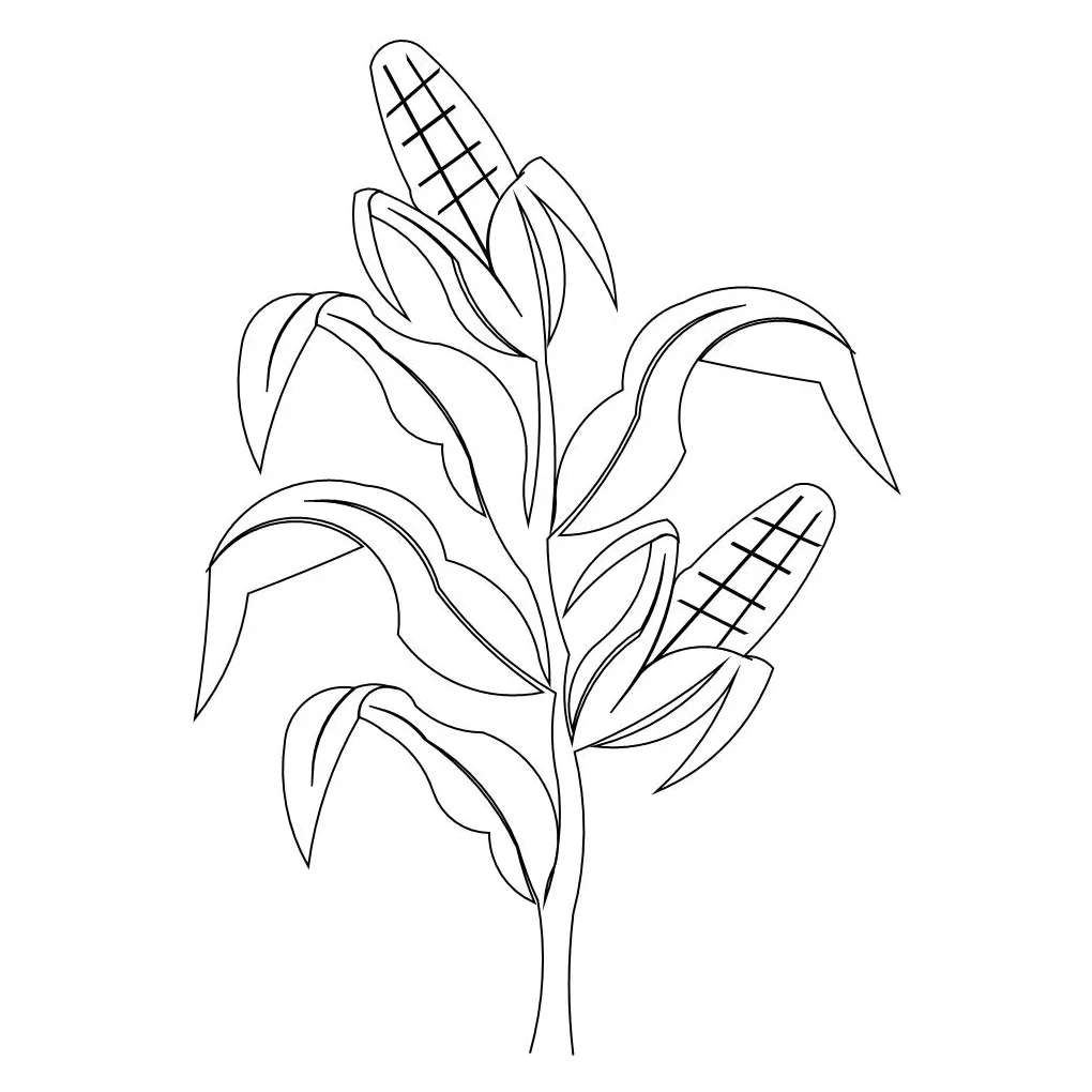 Corn Stalk Coloring Page at GetColorings.com | Free printable colorings