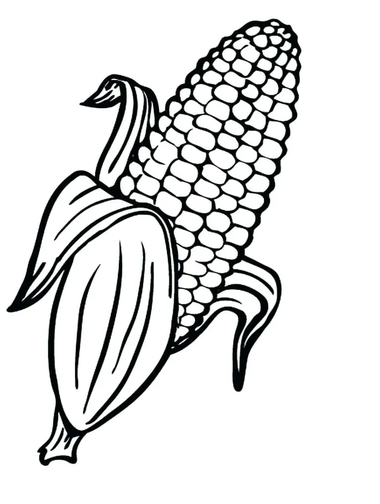 Corn Stalk Coloring Page at GetColorings.com | Free printable colorings