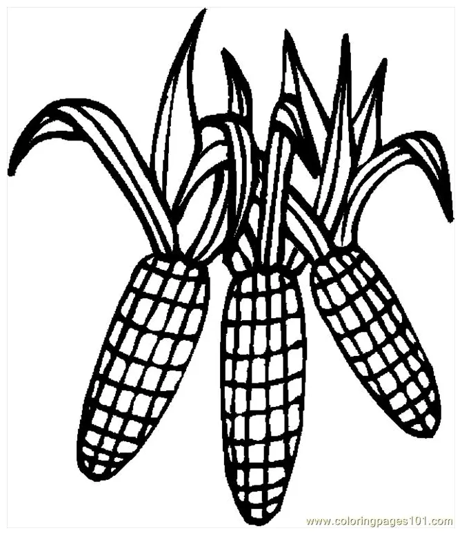 Corn Stalk Coloring Page Clipart | Free download on ClipArtMag