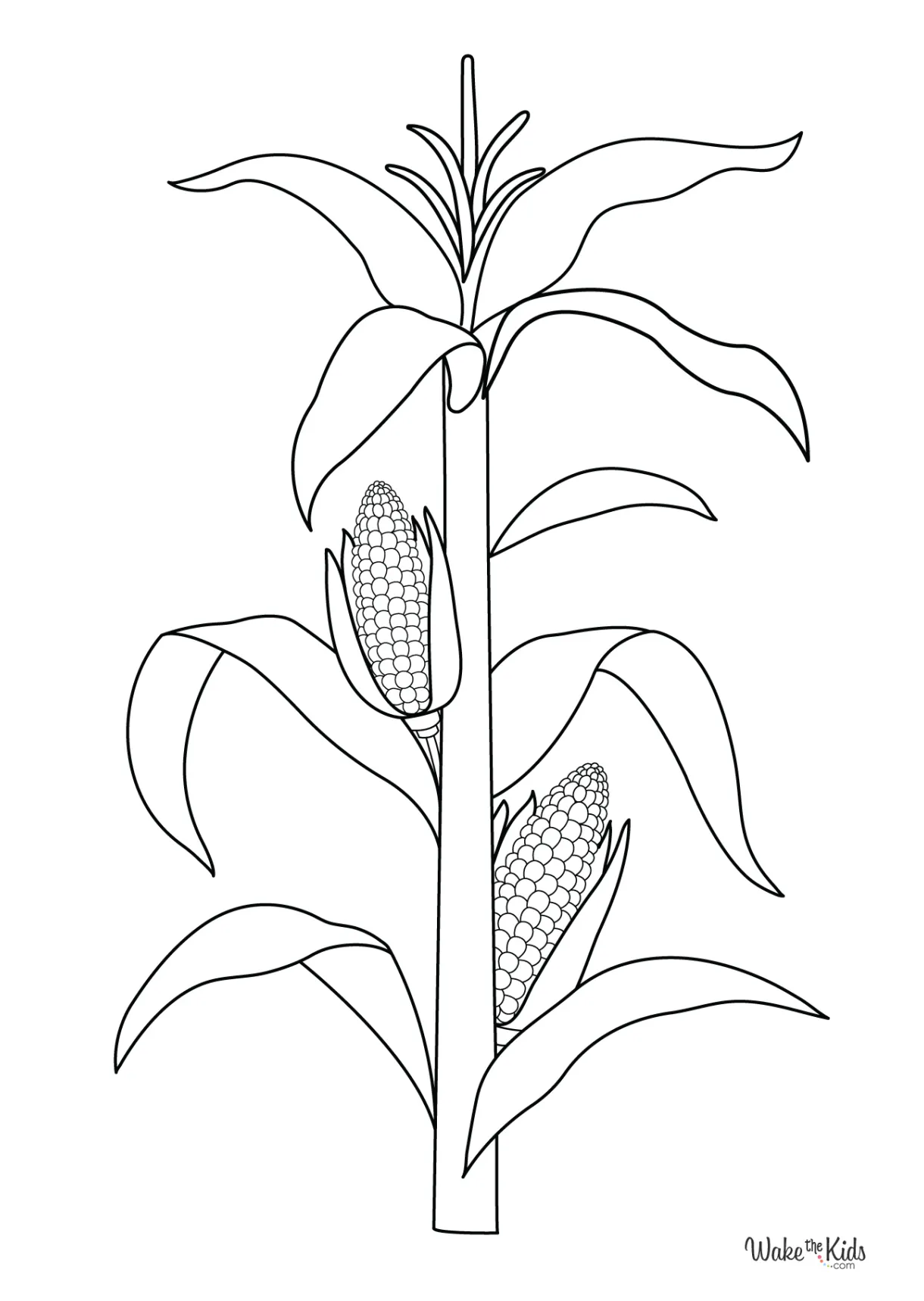 Corn Coloring Pages (Free Printable PDFs) | WakeTheKids