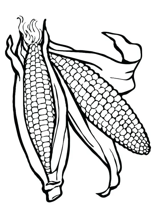 Corn Stalk Coloring Page at GetColorings.com | Free printable colorings