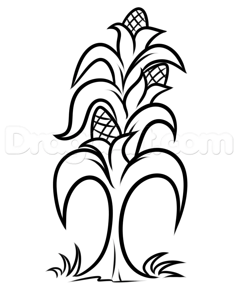 Corn Stalk Coloring Page Clipart | Free download on ClipArtMag