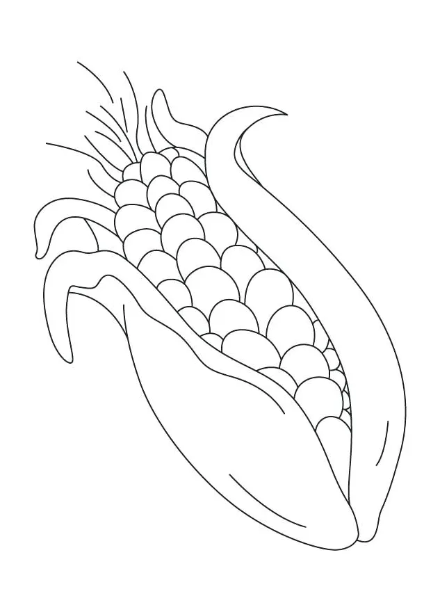 Corn Stalk Coloring Page at GetColorings.com | Free printable colorings