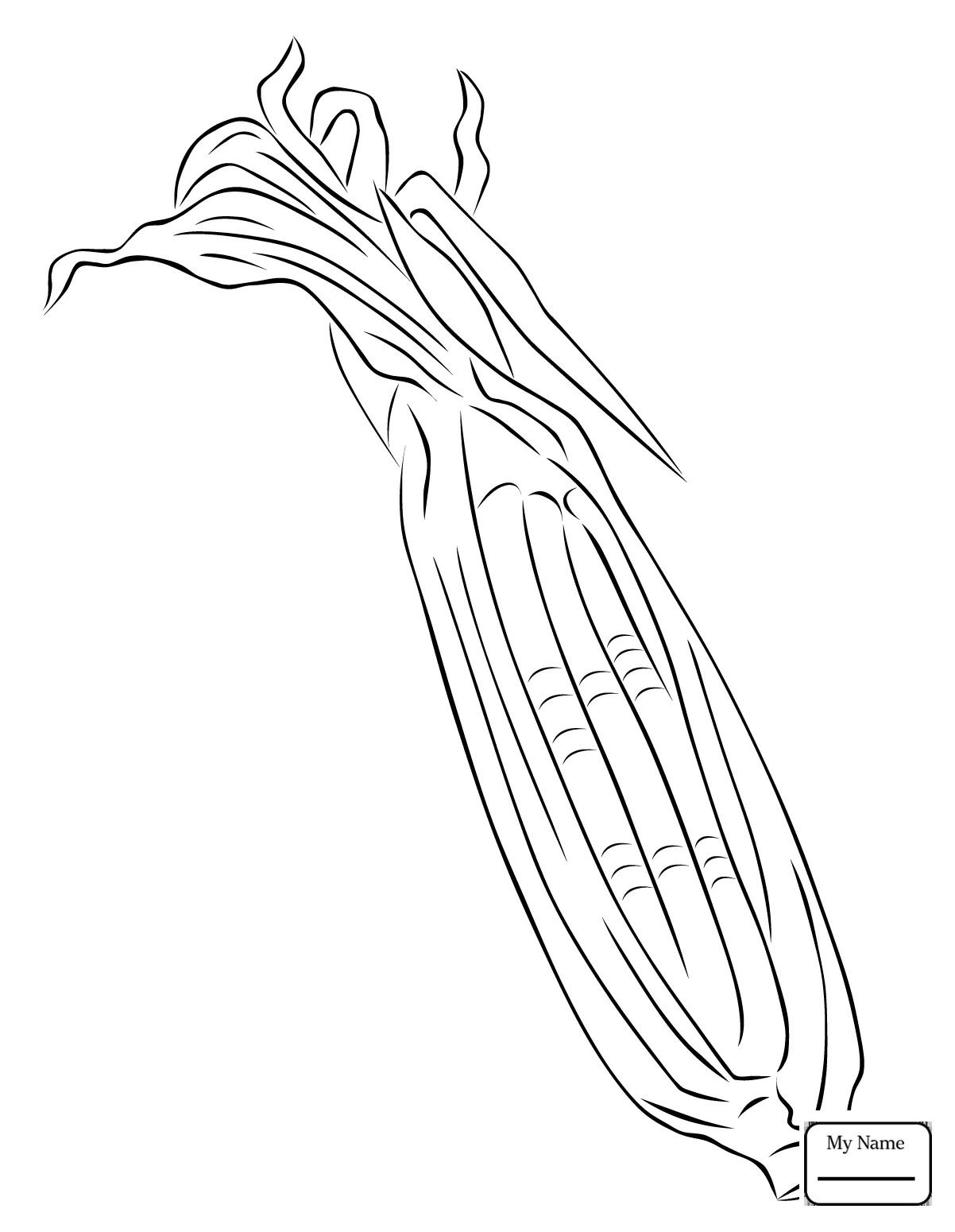 Corn Stalk Coloring Page at GetColorings.com | Free printable colorings