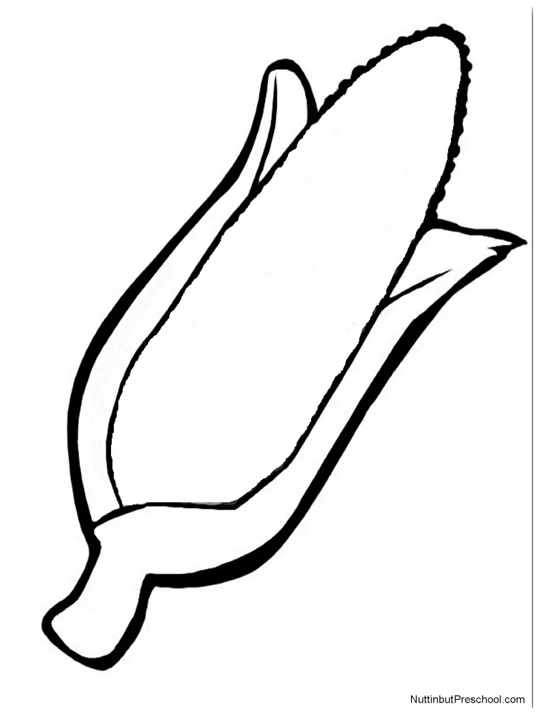 Corn Stalk Coloring Page Clipart | Free download on ClipArtMag