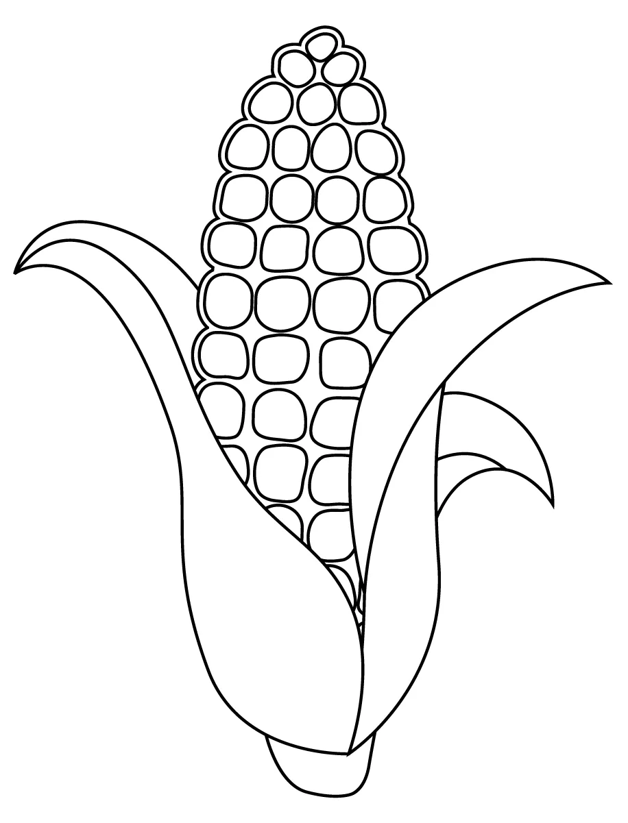 Corn Stalk coloring page - ColouringPages