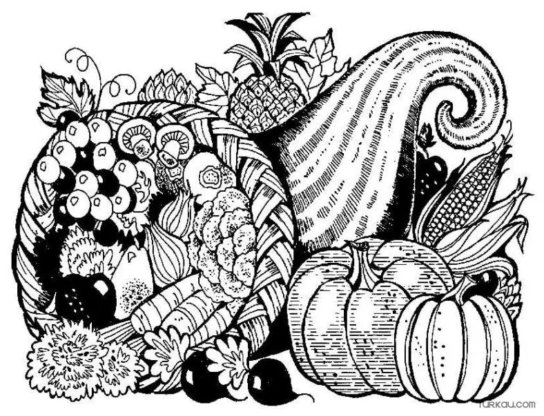 Cornucopia coloring page » turkau