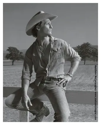 Wp s celebrity, post 2