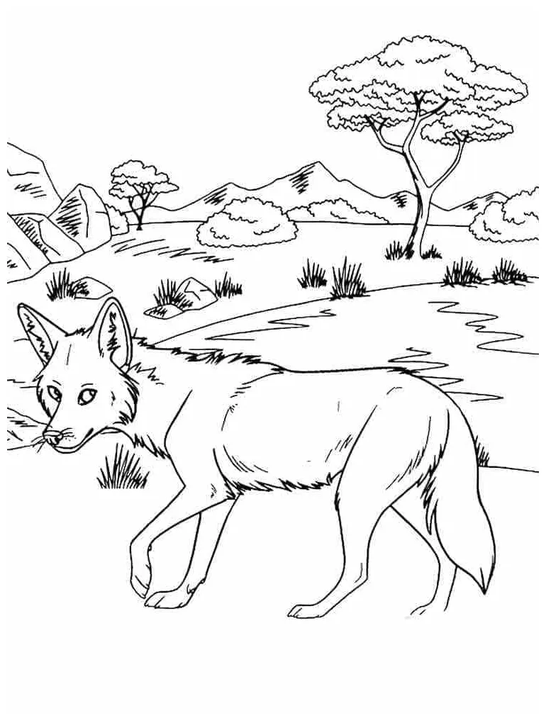Coyote coloring pages coloringlib