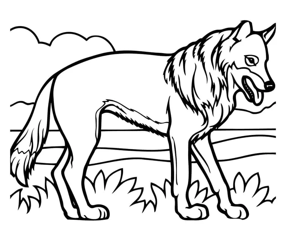 Coyote coloring pages coloringlib