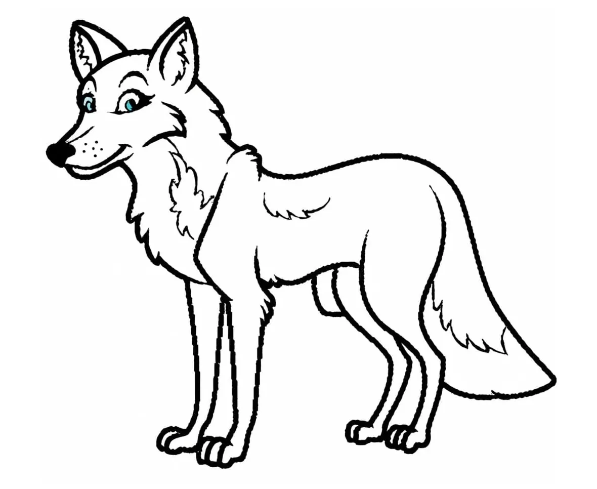 Coyote coloring pages coloringlib