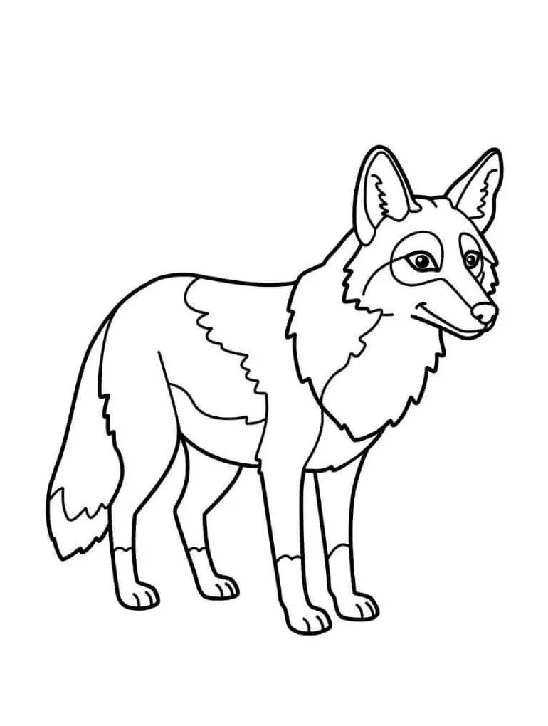 Coyote coloring pages coloringlib