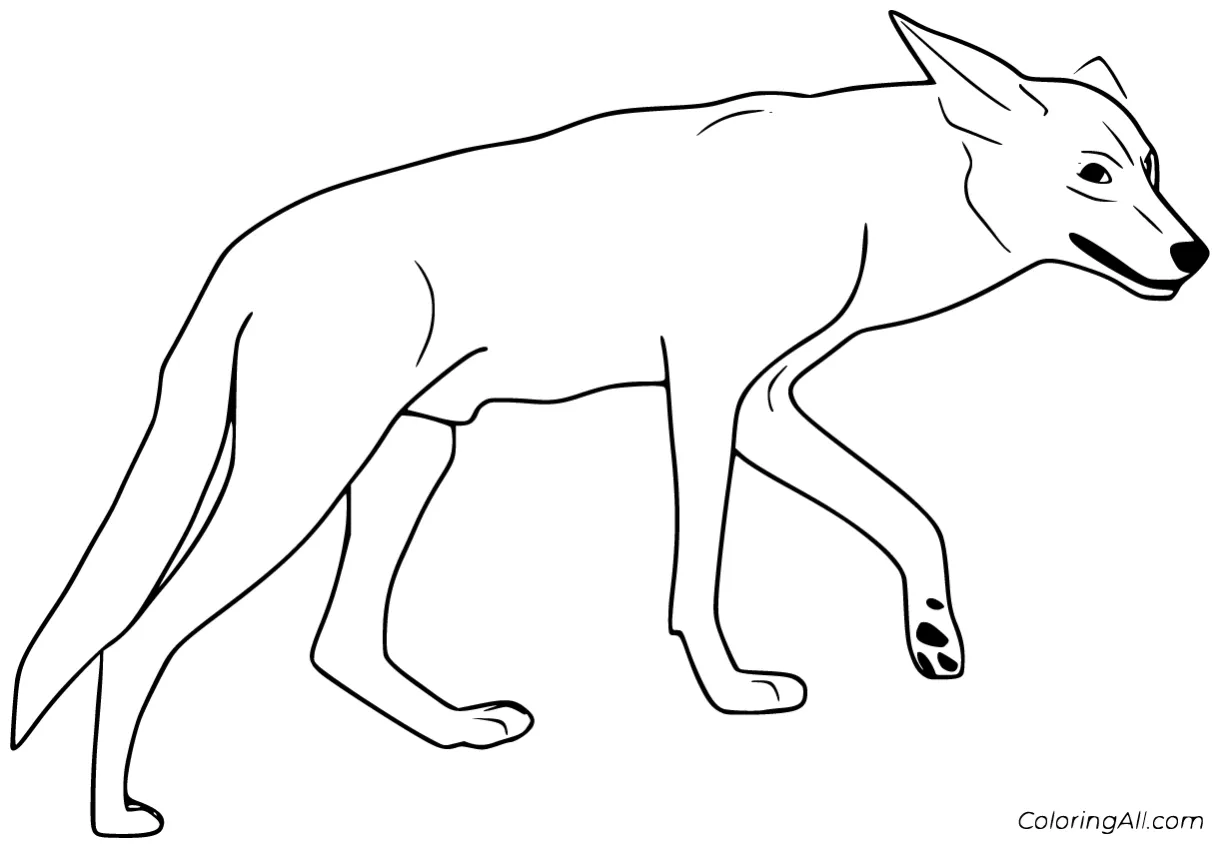 Coyote coloring pages 20 free printables coloringall