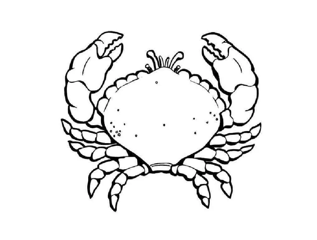 Big download, print or color online for free printable coloring page