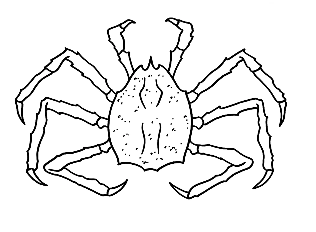 King crab pictures coloring page free printable coloring pages