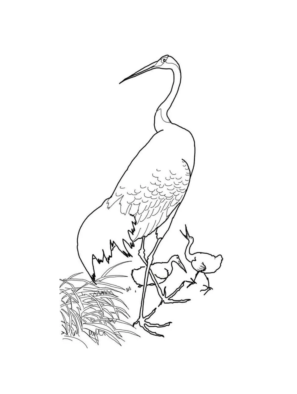 Crane coloring page