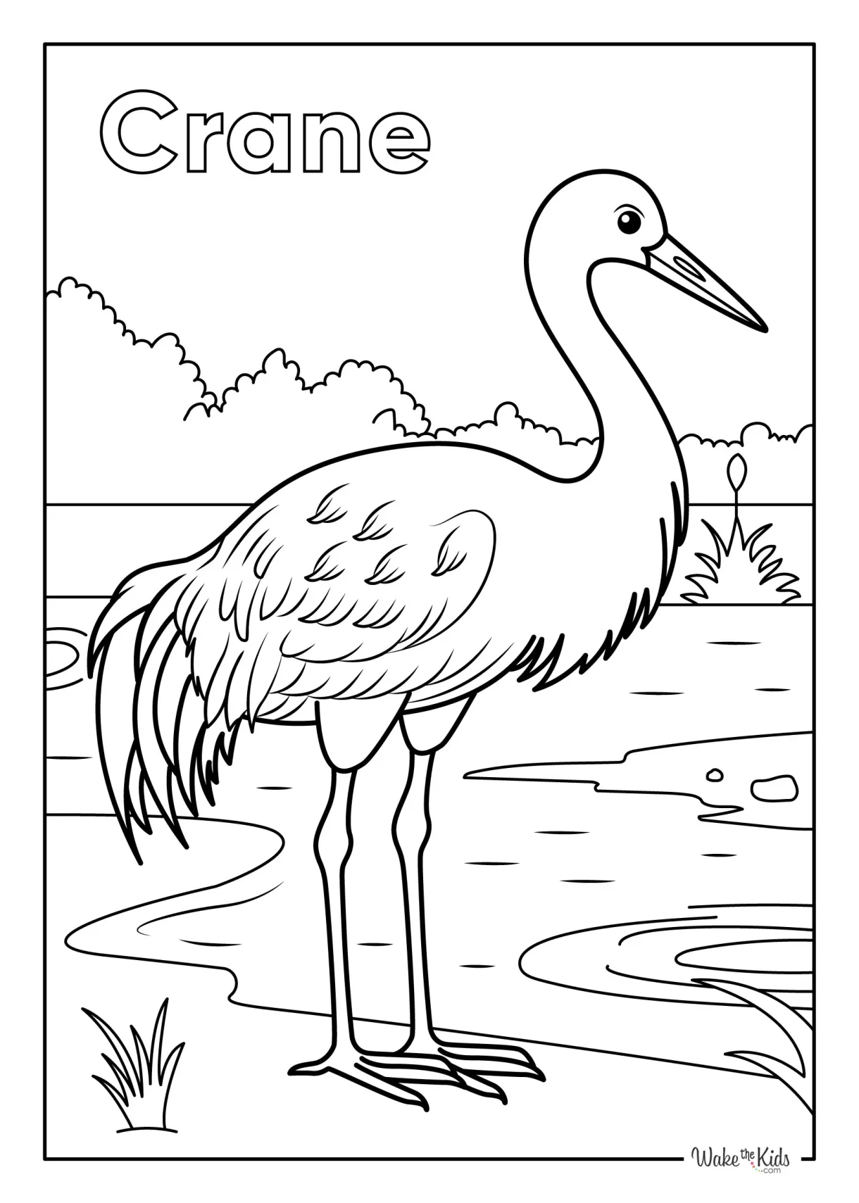 Crane bird coloring pages free printable pdfs wakethekids