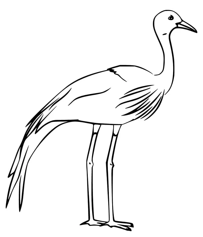 Gorgeous free printable coloring pages for kids