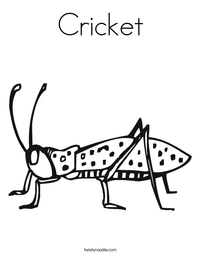 Cricket coloring page twisty noodle printable coloring page