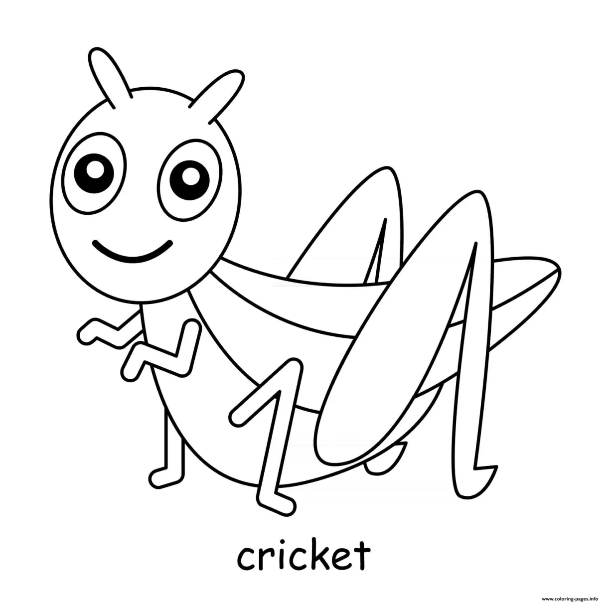 Cricket coloring page printable