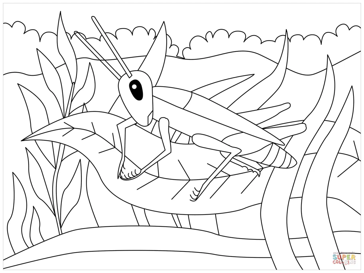 Cricket coloring page free printable coloring pages