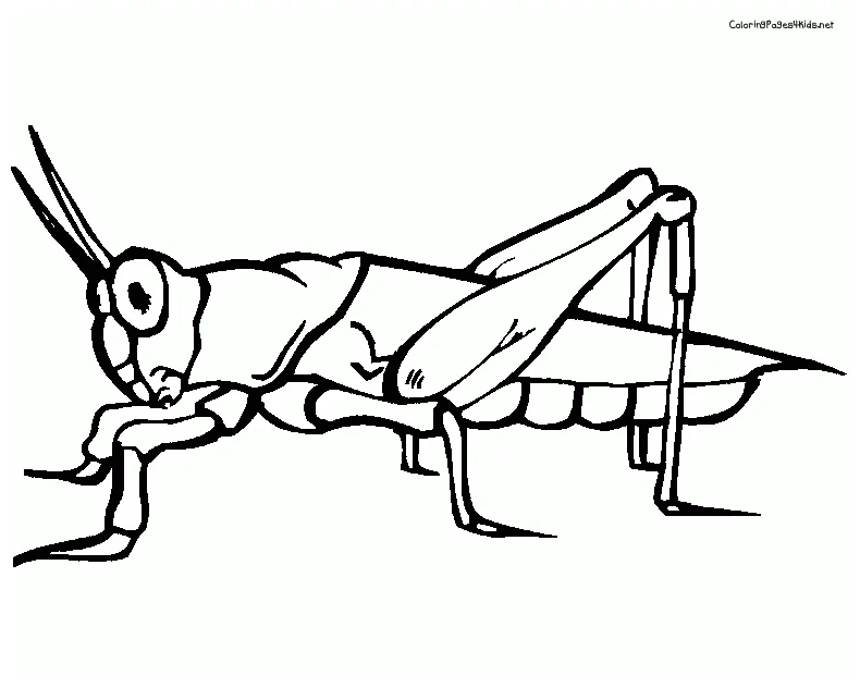 The very quiet cricket coloring pages coloring home printable coloring page