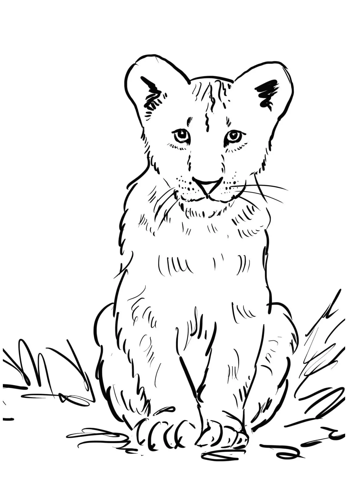 Lion Cub Coloring Page