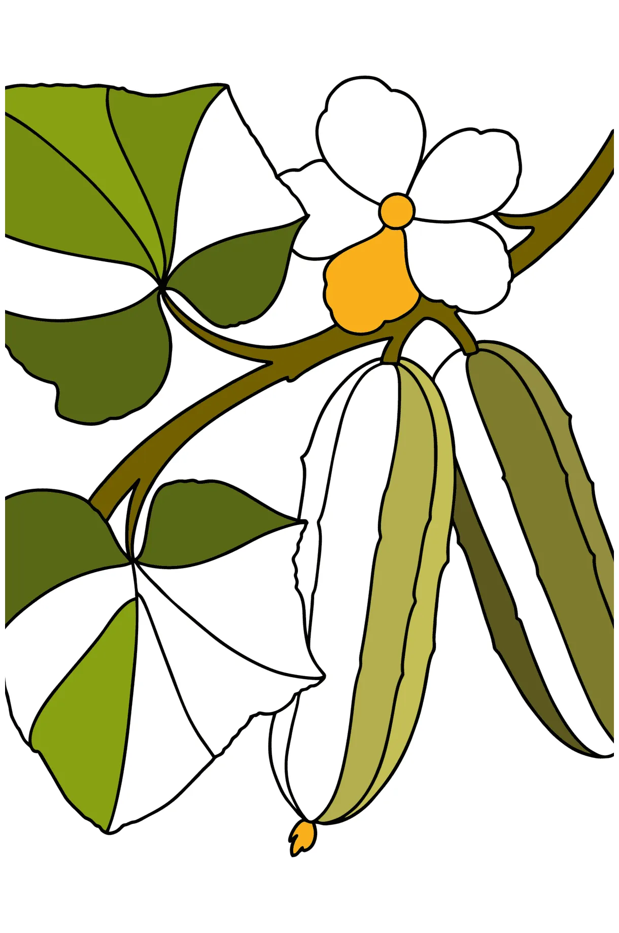 Cute cucumber сoloring page ♥ Online and Print for Free!