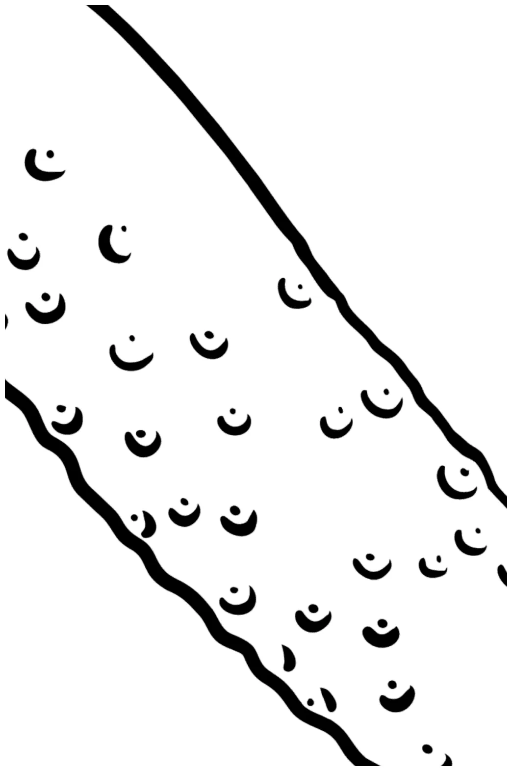 Cucumber coloring page ♥ Online and Printable for Free!